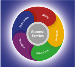 The Civil Service Success Profiles which are Ability, Technical, Behaviors, Strengths and Experience.