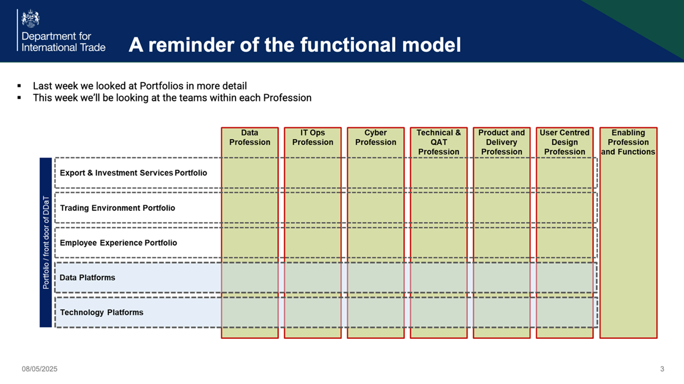 The functional matrix model showing how the DDaT professions intersect with the portfolios.