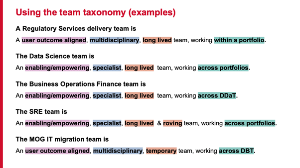 Examples of the matrix taxonomy such as 'The Business Operations Finance team is an enabling/empowering, specialist, long lived team, working across DDaT'.